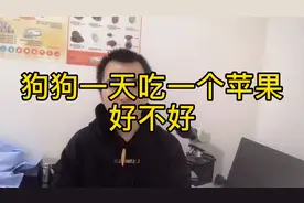 狗狗每天吃一个苹果好不好