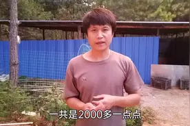 简易鸡舍搭建全过程，实用低成本，可养2000只鸡，80平方花费2000视频封面