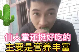 听说仙人掌果实很好吃，试吃了一下就像黄瓜的味道，功效还挺多。