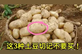 “翻新土豆”大家切记不要买，菜贩子从来不吃，教你一眼认出视频封面