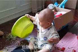 家有一个小小捣蛋鬼，你干什么他干什么，像看牛一样，可爱又调皮