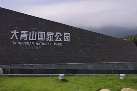 暑期自驾游舟山朱家尖大青山国家公园，环岛公路一路美景看不够视频封面