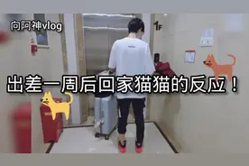 当你出差一周后回到家猫猫是什么反应？