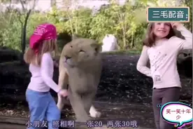 三毛搞笑配音：狗狗搞笑瞬间 ，笑得肚子疼视频封面