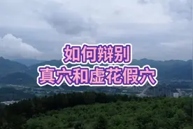 实地介绍，两个窝口，如何辩別真穴和虚花假穴！视频封面