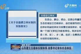 山东建立五级林长制体系，生态区域设立省级林长，由省级领导担任视频封面