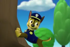 汪汪队：莱德问阿奇好好睡吧用猫头鹰语该怎么说，呜呜的声音