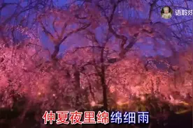 榕树下   邓丽君视频封面