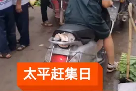 太平镇赶街日视频封面