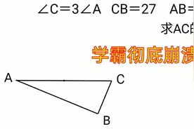 初中奥数竞赛几何(如此难!宝宝想哭)视频封面