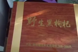 沙漠野生黑枸杞，保健品中的软黄金视频封面