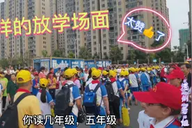 湖南澧县：桃花滩一完小分校放学场面不一般，一起来看是怎么回事视频封面