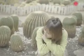 抖音现在超火的《绿色》，治愈系的曲词引起广大网友的共鸣视频封面