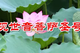 大悲观世音菩萨圣号视频封面