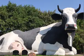 光明农场大观园视频封面