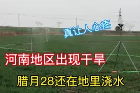 河南南阳农村出现浇地神器，一天能浇几十亩，真的是省事省力！视频封面