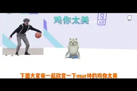 mur猫:大家好!我是练习时长两年半的个人练习猫，mur坤。