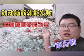 老爸两毛五回收玻璃瓶，动动脑筋有可观利润，这次可以大赚一笔！视频封面