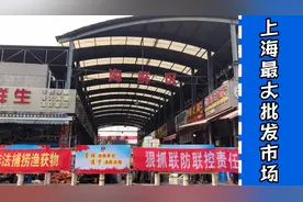 带你逛上海最大的江杨海鲜批发市场，啥都有#2020城事#视频封面