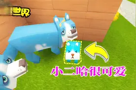 迷你世界极限生存95：妮妮繁衍狗狗，小二哈呆萌可爱！视频封面