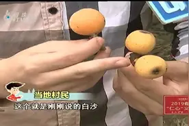 塘栖枇杷节来啦！怎么挑枇杷村民告诉你：长得越丑味道越甜视频封面