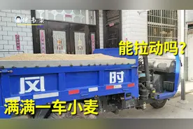 13000元买的农用三轮车，加高车厢装满满一车小麦，能拉动吗？视频封面