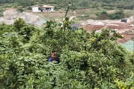 重庆陈家桥双佛村，看见正在打2个隧道，是那个隧道呀！视频封面