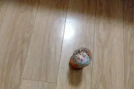 臭豆腐过了半个月发霉了大家说还能吗视频封面