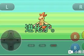 口袋妖怪究极绿宝石四小智版，打完第一个道馆。