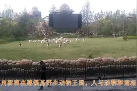郑州新密银基野生动物园。建成后将成为中原地区又一好看好玩之地视频封面
