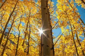 五彩蛋糕加香蕉牛奶，与下雨天最配了视频封面