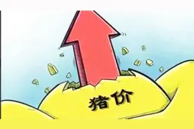 8.15全国猪价分析：还在涨！猪价连涨的背后是养猪人的辛酸