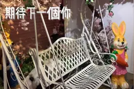 期待下一个你，上海外滩失恋博物馆