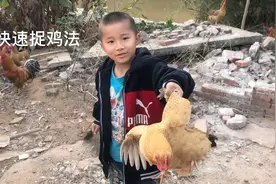 捉鸡一招搞定，简单易学