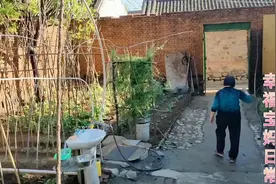 北京郊区租一套院一月800元还有一片菜园比楼房住着舒服还有菜吃视频封面