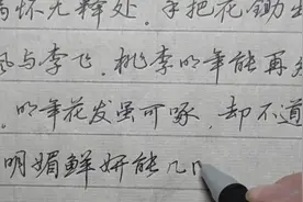 最美行书欣赏，葬花吟全文，汉字美最高的境界是与文融为一体，难视频封面