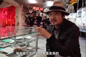 雷探长亲眼目睹切尔诺贝利变异生物，身体扭曲，到底是什么生物？视频封面