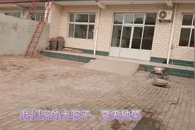 二十七我们回家过年啦开车带侄子跟哥哥回家让嫂子自己坐车合理吗视频封面