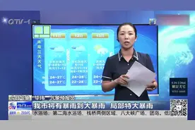 台风“利奇马”来势汹汹,登陆后向北转移,未来三天山东将持续降雨视频封面