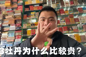 333牡丹为什么比普通牡丹贵而且量更少，听听便利店老板的说法视频封面