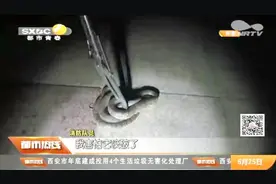 陕西渭南：夜晚小区门口出现一条蛇，居民吓得够呛，消防紧急处置视频封面