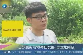 江苏现史前物种，恐龙时代仙女虾与恐龙同辈，寿命却只有一个月视频封面