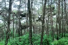 每日闲情。。。视频封面