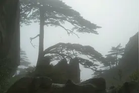 全程徒步爬黄山用时12小时，大结局！视频封面