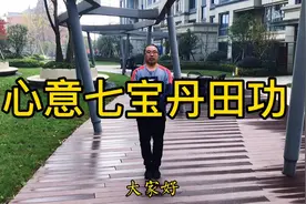 道家心意拳，七宝丹田功，快速练出核心力量，提高抗击打能力视频封面