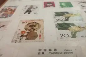 收藏了二十多年的邮票能值多少钱？张张都是无价之宝视频封面