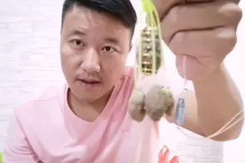 巨物横行的季节，要不要了解一下比爆炸钩轻松的葡萄钩钓法？