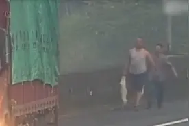顺手牵羊？货车司机高速路上停车抓羊 被民警逮个正着视频封面