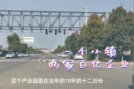 四川绵阳这个小镇，入住了两家百亿企业，只相距500米视频封面