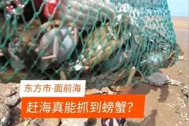 海南东方市面前海，别人赶海能抓海鲜，大叔为啥只看见寄居蟹？